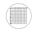 网格测量分划板 网格尺10x10 DIV=0.5