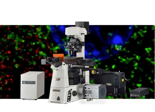 超分辨率显微镜（N-SIM E）