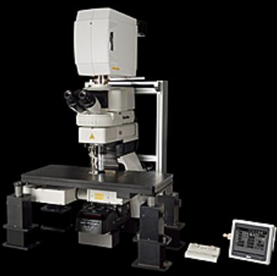 共聚焦显微镜（A1 MP+/A1R MP+）