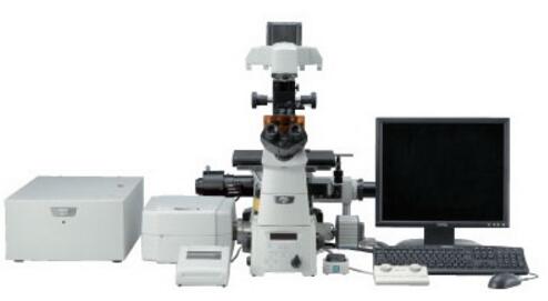共聚焦显微镜（A1+/A1R+）