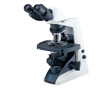 正置显微镜（Eclipse E200）