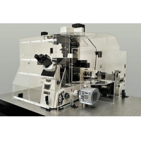 超分辨率显微镜（N-SIM）