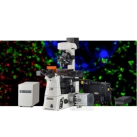 超分辨率显微镜（N-SIM E）