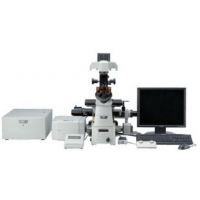 共聚焦显微镜（A1si+/A1Rsi+）