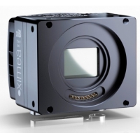 高分辨率相机（CB019MG-LX-X8G3）